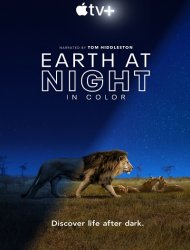 Earth At Night In Color Saison 1 en streaming