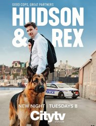 Hudson And Rex Saison 2 en streaming