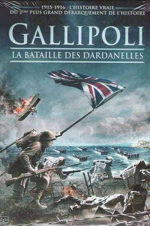 Gallipoli, la bataille des Dardanelles
